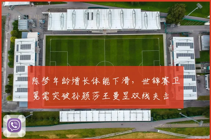 陈梦年龄增长体能下滑，世锦赛卫冕需突破孙颖莎王曼昱双线夹击